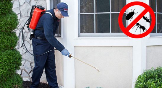 Yurdoğlu Gümüşkurt İlaçlama böcek ilaçlama ve haşere kontrolü — ilaclama-tr.com